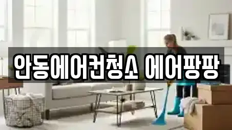 안동에어컨청소 에어팡팡