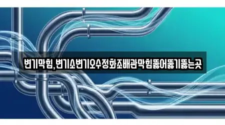 변기막힘,변기소변기오수정화조배관막힘뚫어뚫기뚫는곳