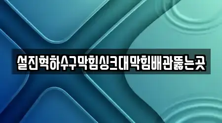 설진혁하수구막힘싱크대막힘배관뚫는곳