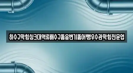 하수구막힘싱크대역류배수구뚫음변기뚫어뻥우수관막힘전문업