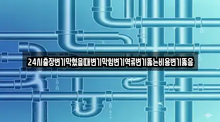 24시출장변기막혔을때변기막힘변기역류변기뚫는비용변기뚫음