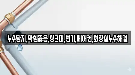 누수탐지,막힘뚫음,싱크대,변기,에어컨,화장실누수해결