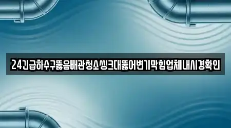 24긴급하수구뚫음배관청소씽크대뚫어변기막힘업체내시경확인