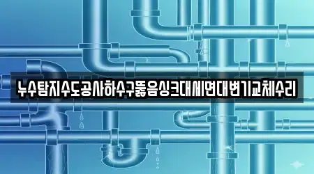 누수탐지수도공사하수구뚫음싱크대세면대변기교체수리