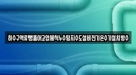 하수구역류뻥뚫어고압세척누수탐지수도설비전기온수기설치방수