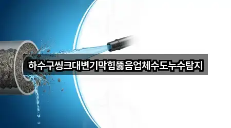 경상북도 김천 구성면 변기막힘 핵심 정보 2곳