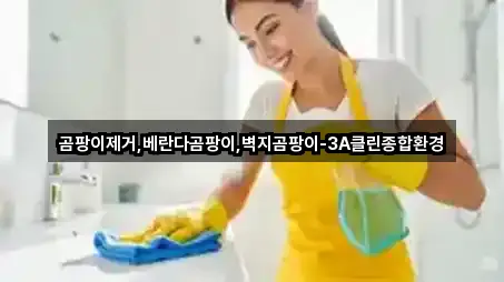 곰팡이제거,베란다곰팡이,벽지곰팡이-3A클린종합환경