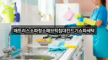 매트리스소파청소패브릭침대진드기쇼파세탁