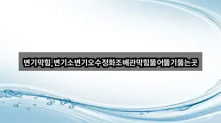변기막힘,변기소변기오수정화조배관막힘뚫어뚫기뚫는곳