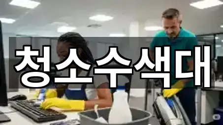 청소수색대
