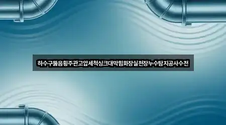 하수구뚫음횡주관고압세척싱크대막힘화장실천장누수탐지공사수전