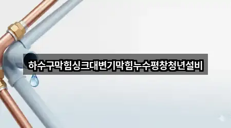 하수구막힘싱크대변기막힘누수평창청년설비