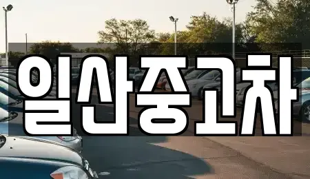 경기 고양시 일산서구 주엽동 중고차 전문 일산중고차