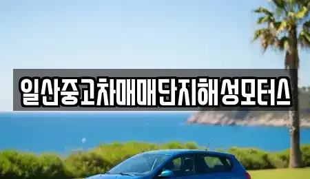 경기 고양시 일산서구 주엽동 중고차 전문 일산중고차매매단지해성모터스