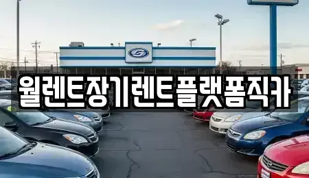 경기 안성시 장기렌트카 전문 월렌트장기렌트플랫폼직카