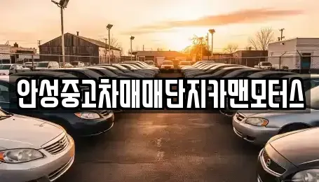 경기 안성시 중고차 전문 안성중고차매매단지카맨모터스