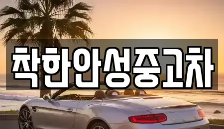 경기 안성시 중고차매매 전문 착한안성중고차