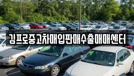 경기 안성시 중고차매입 전문 김프로중고차매입판매수출매매센터