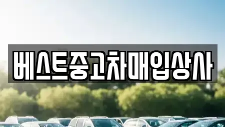 경기 안성시 중고차매입 전문 베스트중고차매입상사