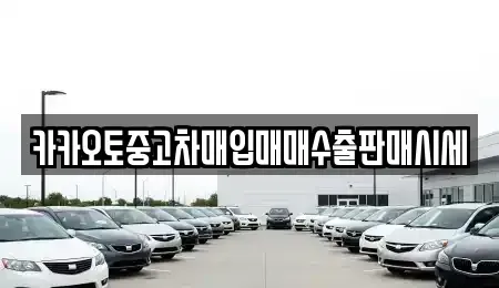 경기 안성시 중고차매입 전문 카카오토중고차매입매매수출판매시세