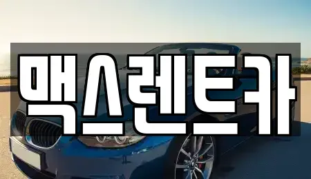 경기도 용인시 처인구 김량장동 렌트카 전문 맥스렌트카