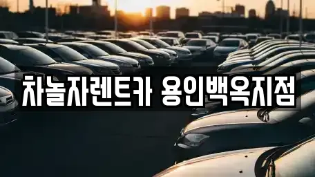 경기도 용인시 처인구 김량장동 렌트카 전문 차놀자렌트카 용인백옥지점