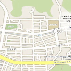 경기도 용인시 처인구 김량장동 중고차 장안평중고차시장 위치