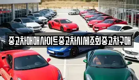 경기도 용인시 처인구 김량장동 중고차 전문 중고차매매사이트중고차시세조회중고차구매