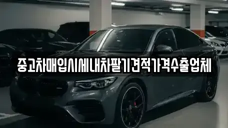 경기도 용인시 처인구 김량장동 중고차매입 전문 중고차매입시세내차팔기견적가격수출업체