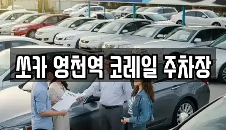 경북 영천시 과전동 렌트카 전문 쏘카 영천역 코레일 주차장