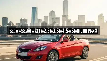 충청북도 영동군 중고차매매 전문 중고트럭중고화물차1톤2.5톤3.5톤4.5톤5톤매매매입수출